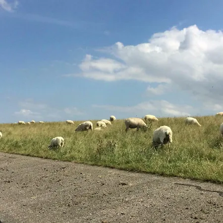 Gemuetlicher * Neuharlingersiel